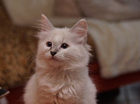 Sophie am 6.8.2014
